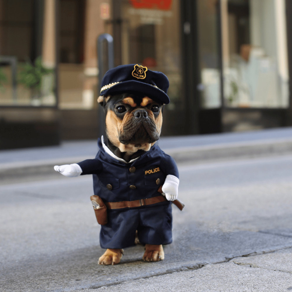Cute Police Officer Dog Costume