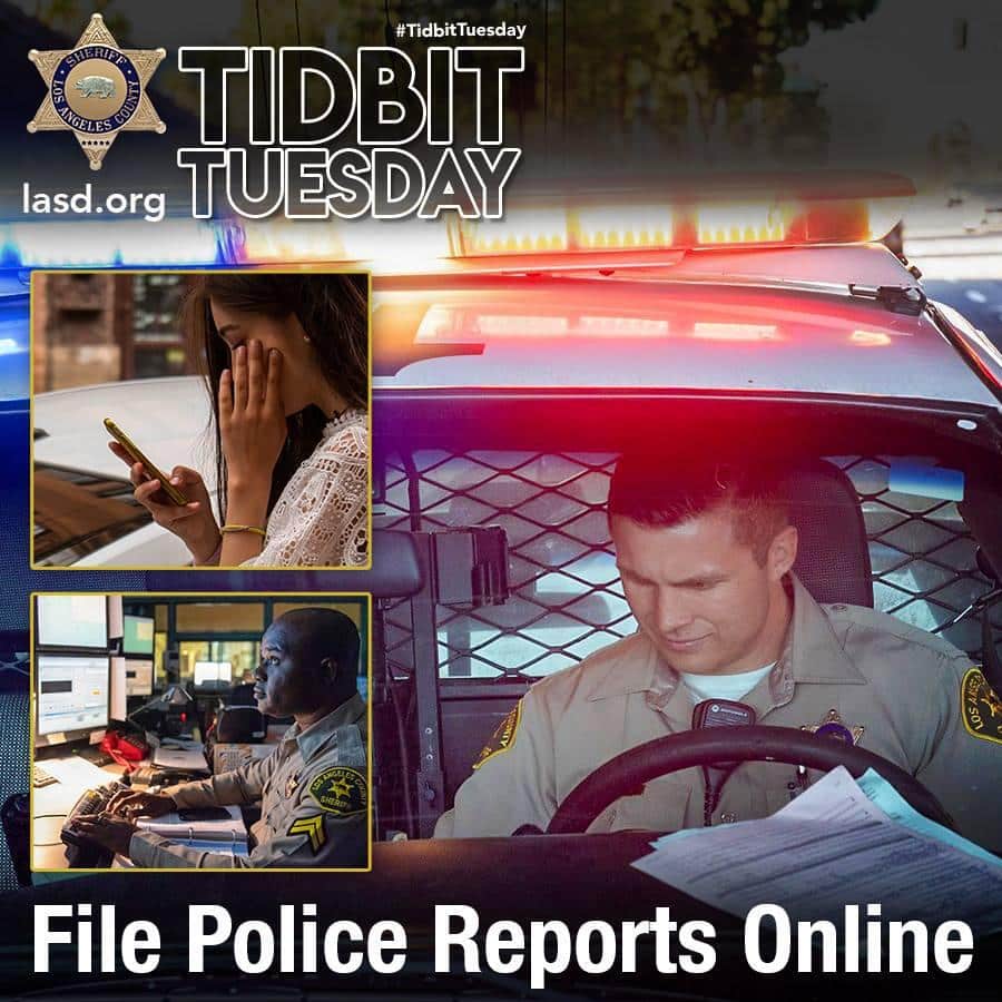 File Police Reports Online (City of Bellflower Public Safety ...