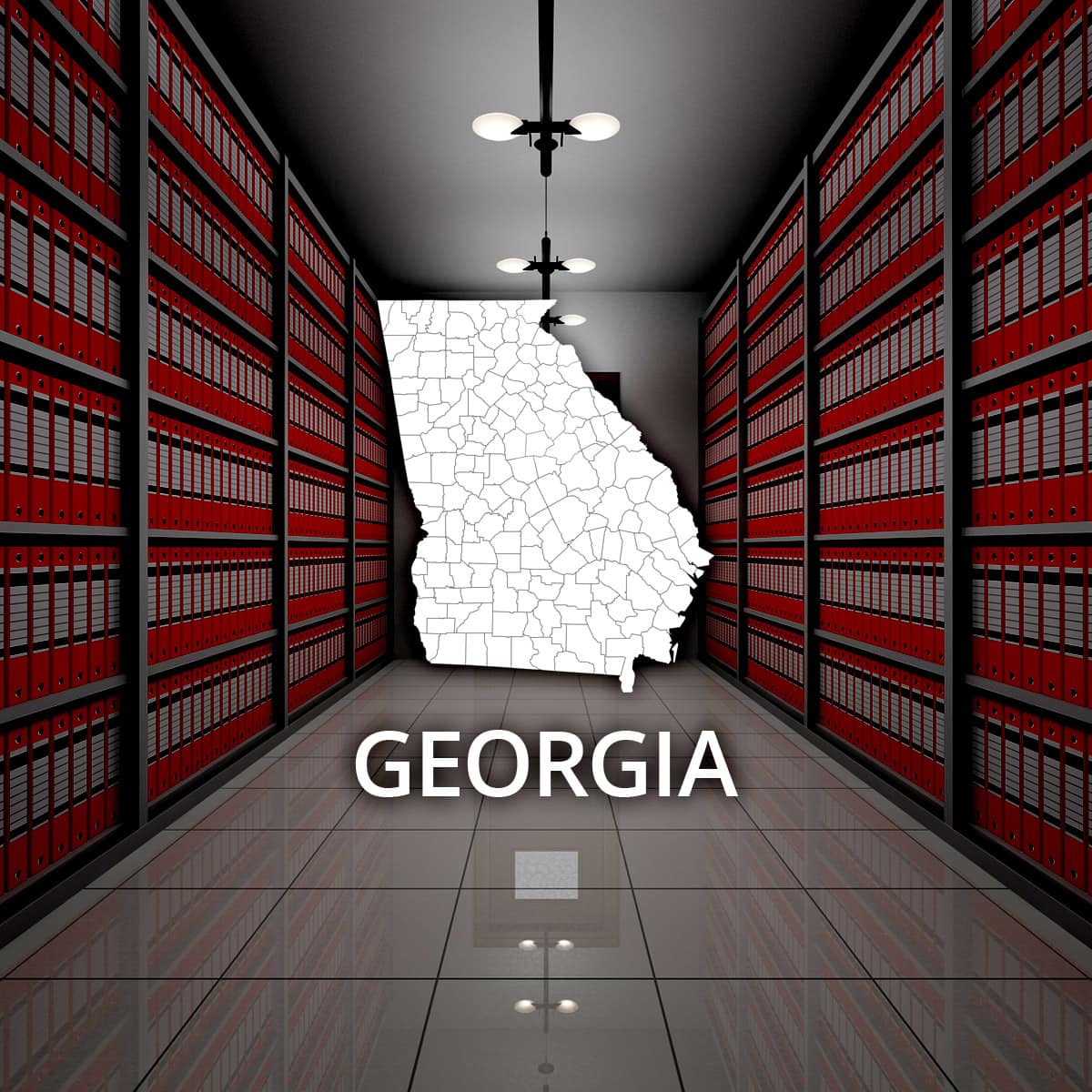 Georgia State Public Records Online