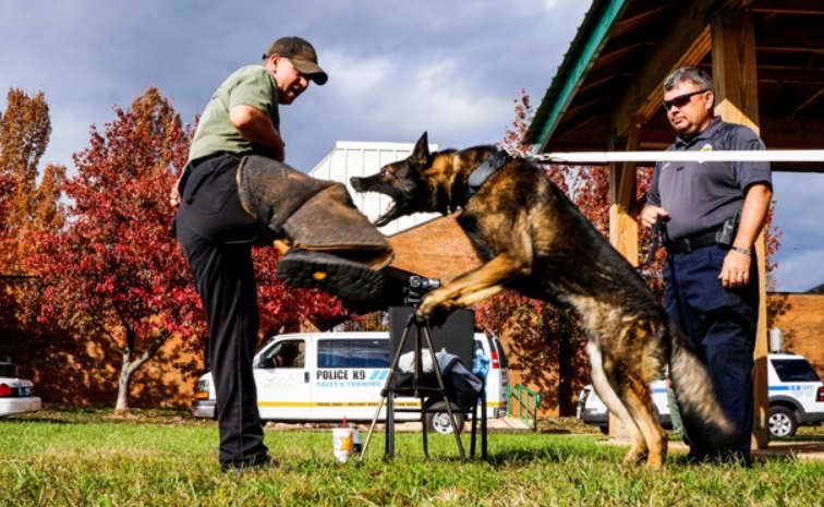 Get Police Dog Training Schools Near Me