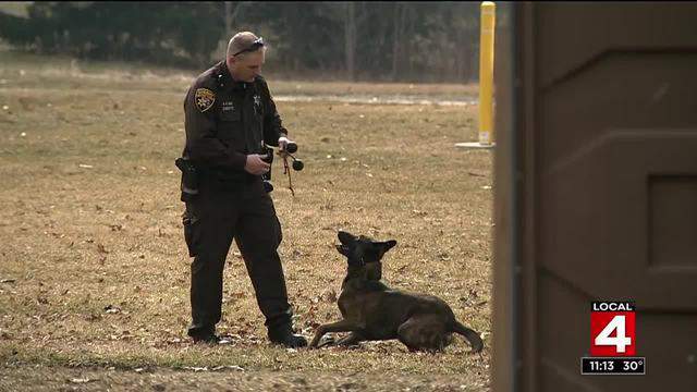 How are police K9 dogs trained so effectively and quickly?