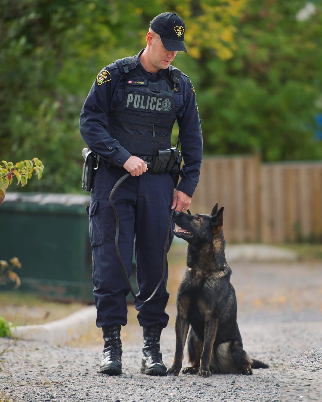 How To Become A K9 Officer In Ontario "  New Ideas