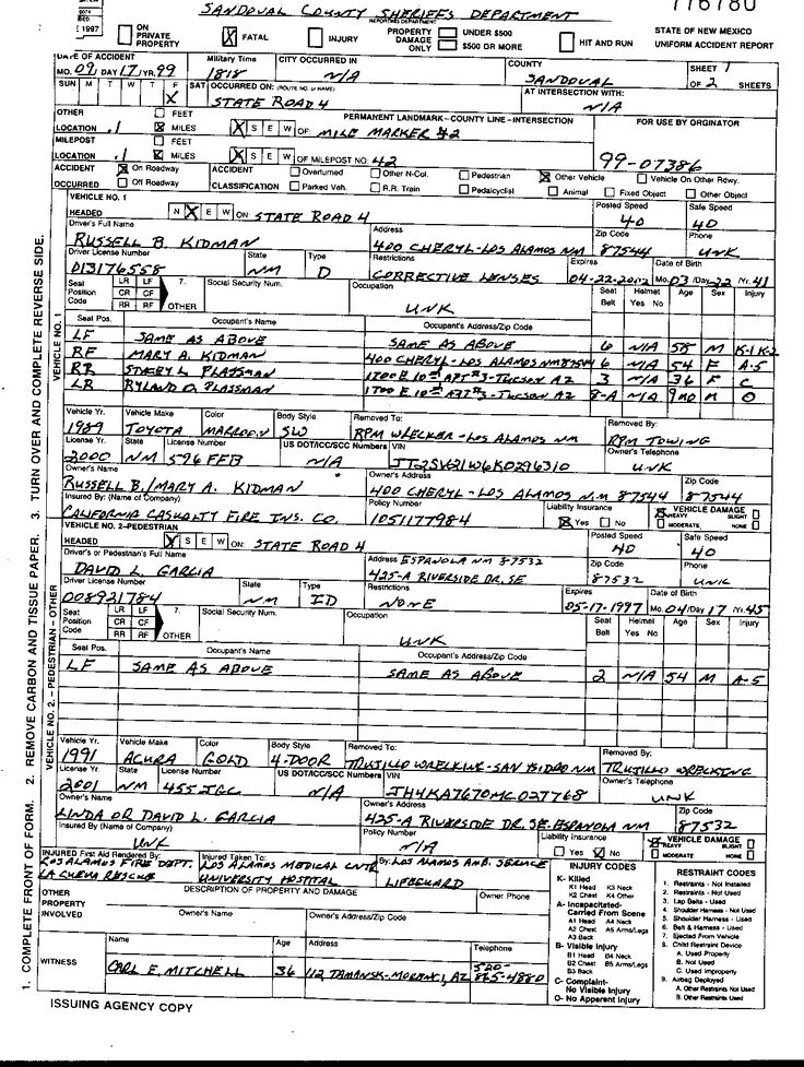 Image result for georgia police reports public record ...
