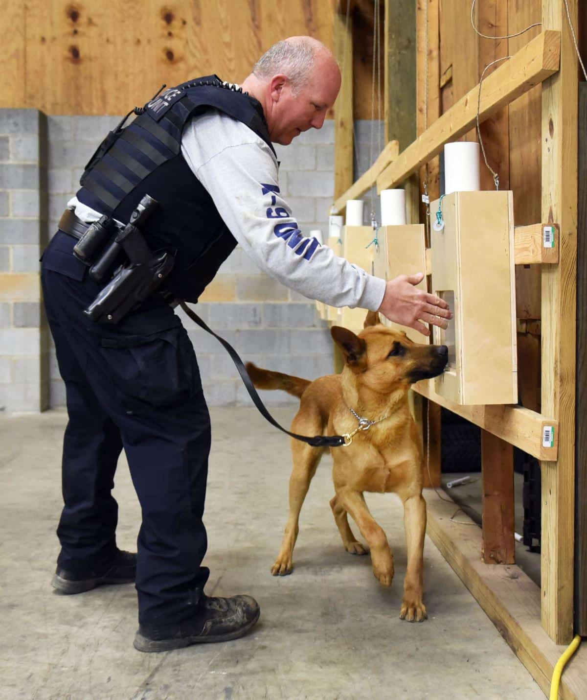 Photos: Police dog basic training