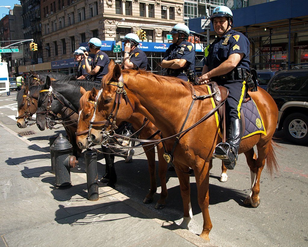 PMU NYPD Mounted Police Officers on Horseback, City Hall ...