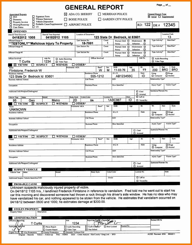 Police Arrest Report Template Fresh 5 Fake Police Report ...