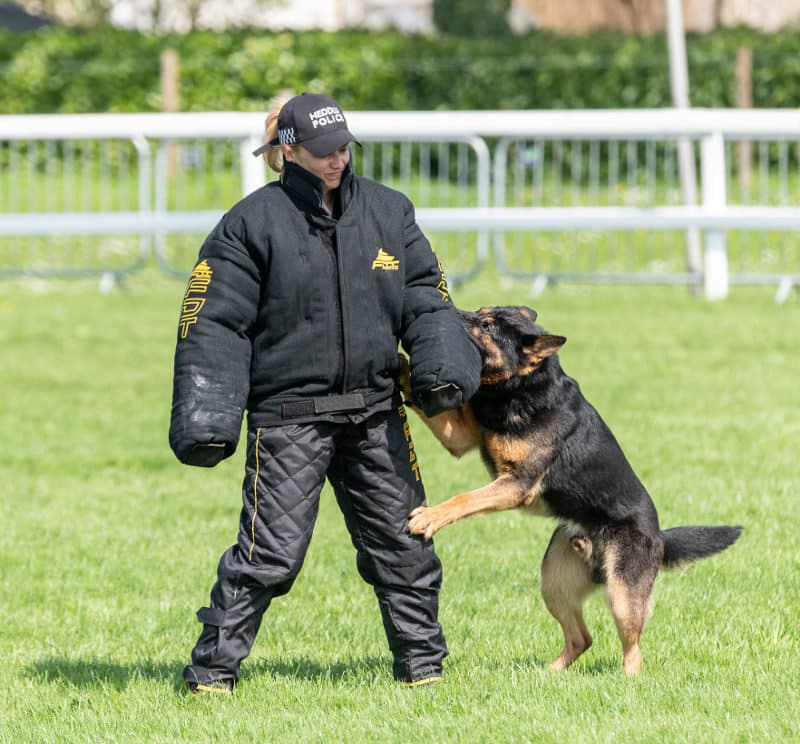 Police Dog Training Suit