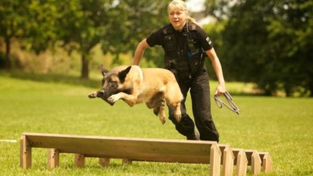 South Wales Police dog school: Training the canine cops