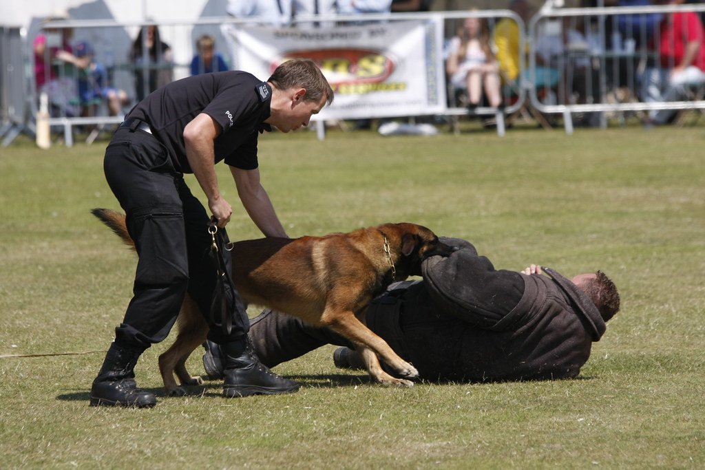 Sussex Police Dogs