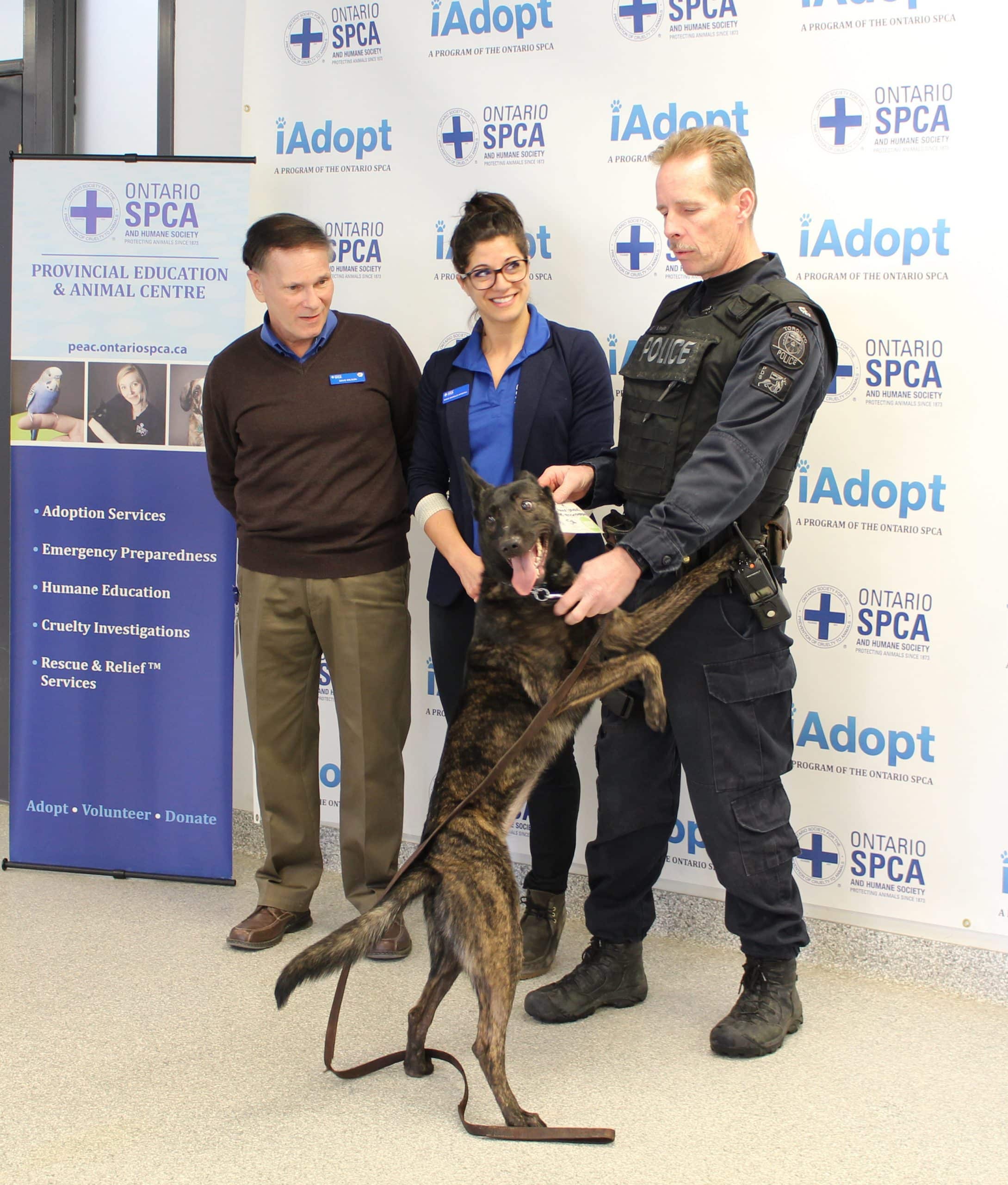 Toronto Police K9 unit adopts âJasmineâ from Ontario SPCA