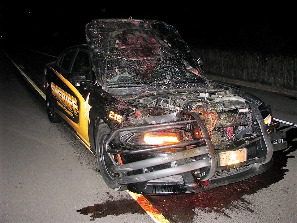 Video: What happens when police car hits deer at 114 mph?